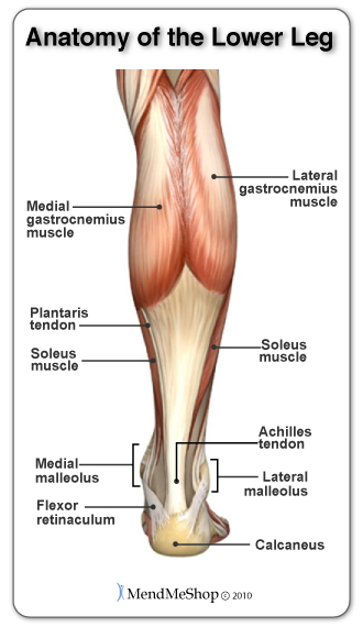 Calf muscle weakening surgery can help with some types of foot conditions 