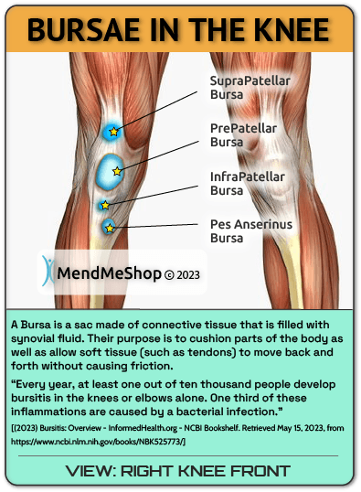 locations of bursa in the knee