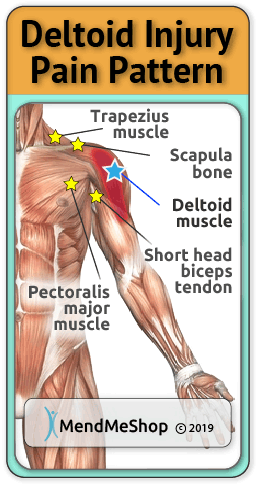 shoulder muscle strain