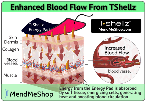 how tshellz energy increase blood flow