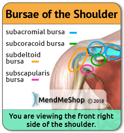 common areas for shoulder bursitis