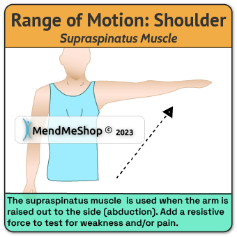 supraspinatus muscle movement guide