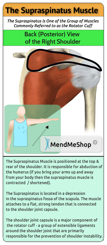 Supraspinatus tendonitis store exercises