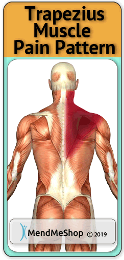 trapezius muscle pain pattern
