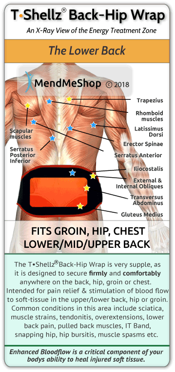 Natural healing Back Hip T•Shellz Wrap