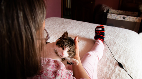 Sesamoid TShellz Wrap Treatment with Kitty Cat